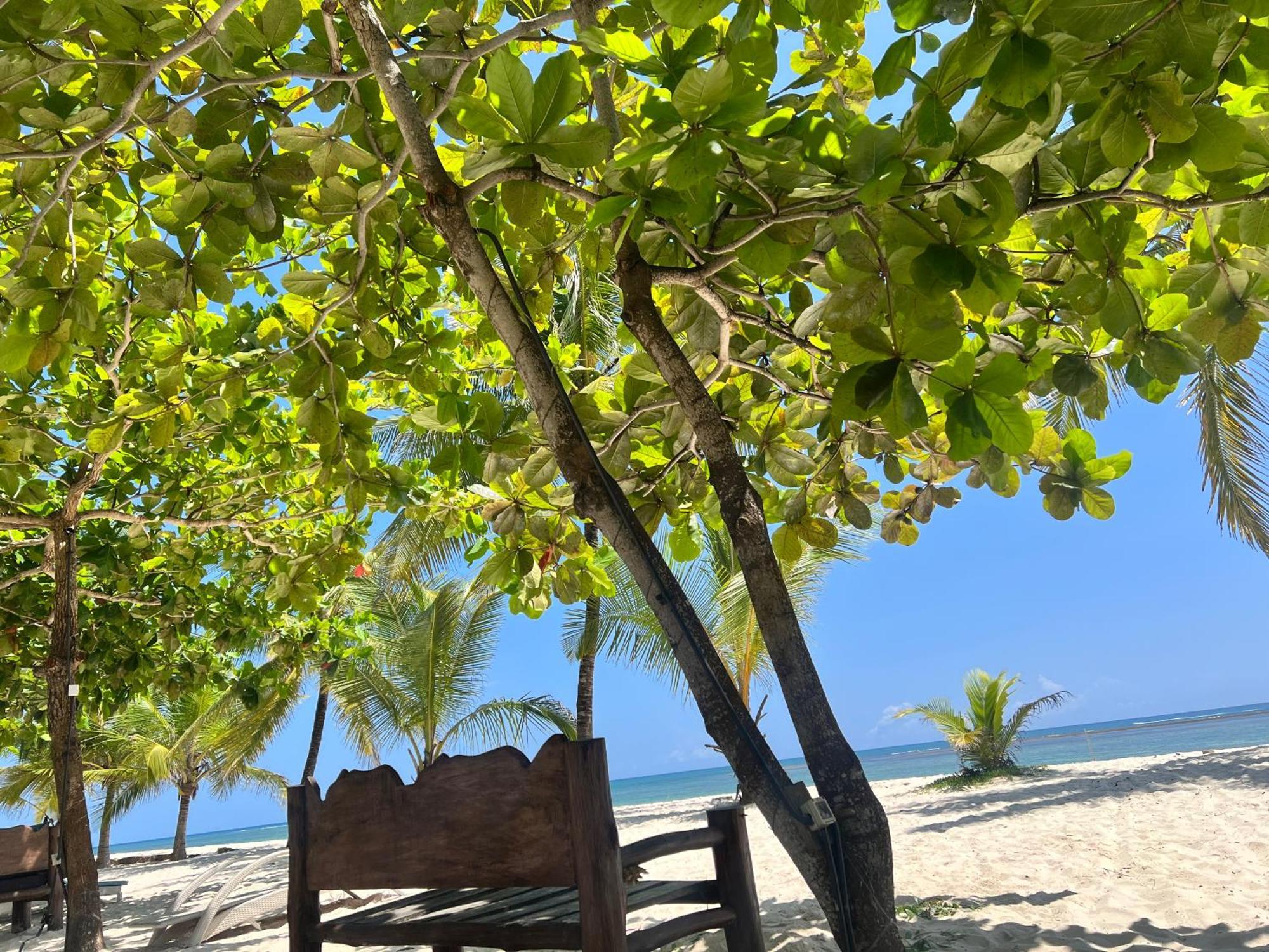 Waves And Wanderlust-Diani Beach Exterior foto